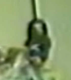 Crow animatronci in Mijjin video